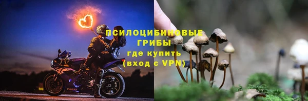 таблы Верея