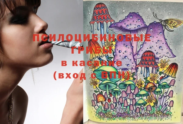 стаф Балабаново