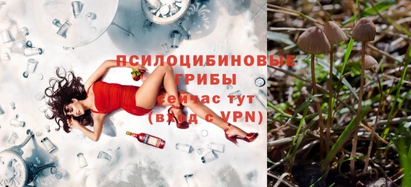 стаф Балабаново